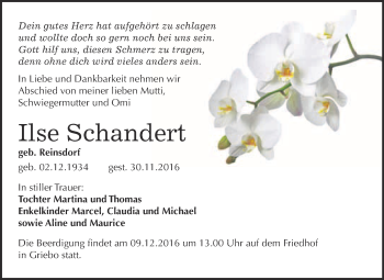 Traueranzeige von Ilse Schandert von WVG - Wochenspiegel Wittenberg