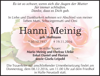Traueranzeige von Hanni Meinig von Mitteldeutsche Zeitung Halle/Saalkreis