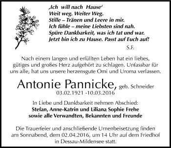 Traueranzeige von Antonie Pannicke von Mitteldeutsche Zeitung Dessau-Roßlau