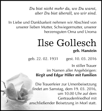 Traueranzeige von Ilse Gollesch von Mitteldeutsche Zeitung Halle/Saalkreis