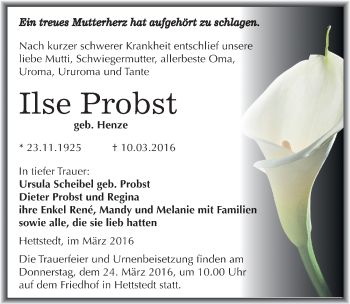 Traueranzeige von Ilse Probst von Mitteldeutsche Zeitung Mansfelder Land