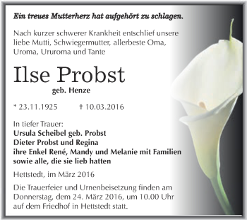 Traueranzeige von Ilse Probst von Wochenspiegel Mansfelder Land