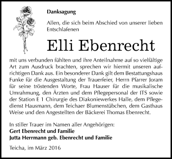 Traueranzeige von Elli Ebenrecht von Mitteldeutsche Zeitung Halle/Saalkreis
