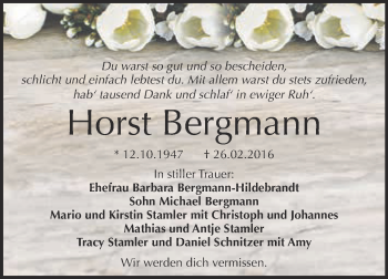 Traueranzeige von Horst Bergmann von WVG - Wochenspiegel Dessau / Köthen