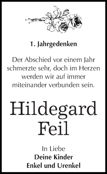 Traueranzeige von Hildegard Feil von WVG - Wochenspiegel Dessau / Köthen
