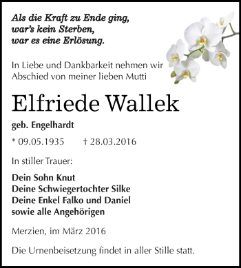 Traueranzeige von Elfriede Wallek von WVG - Wochenspiegel Dessau / Köthen