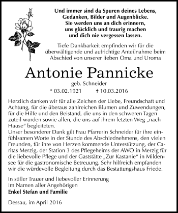 Traueranzeige von Anonie Pannicke von Mitteldeutsche Zeitung Dessau-Roßlau