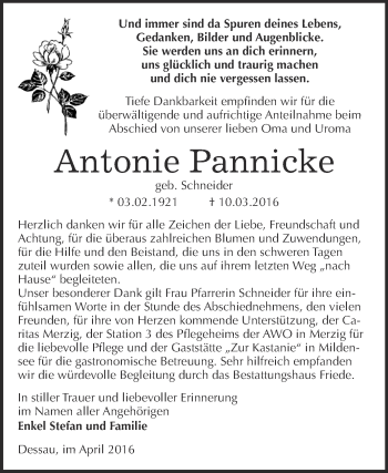 Traueranzeige von Antonie Pannicke von WVG - Wochenspiegel Dessau / Köthen