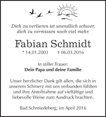 Traueranzeige von Fabian Schmidt von WVG - Wochenspiegel Wittenberg