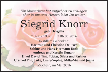 Traueranzeige von Siegrid Knorr von WVG - Wochenspiegel Merseburg