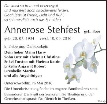 Traueranzeige von Annerose Stehfest von Mitteldeutsche Zeitung Zeitz