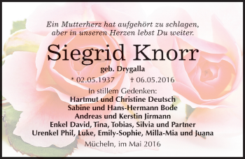 Traueranzeige von Siegrid Knorr von Mitteldeutsche Zeitung Merseburg/Querfurt