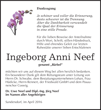 Traueranzeige von Ingeborg Anni Neef von Mitteldeutsche Zeitung Bitterfeld