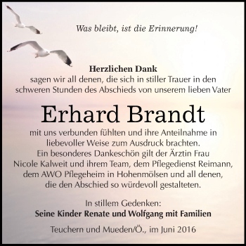 Traueranzeige von Erhard Brandt von WVG - Wochenspiegel NMB / WSF / ZTZ