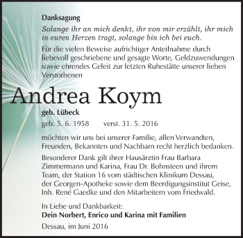 Traueranzeige von Andrea Koym von Mitteldeutsche Zeitung Dessau-Roßlau