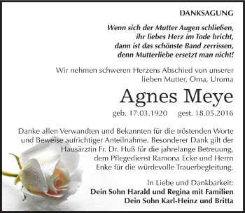 Traueranzeige von Agnes Meye von Mitteldeutsche Zeitung Dessau-Roßlau