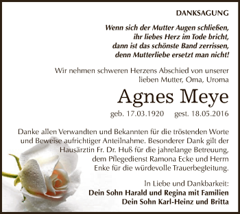 Traueranzeige von Agnes Meye von WVG - Wochenspiegel Dessau / Köthen