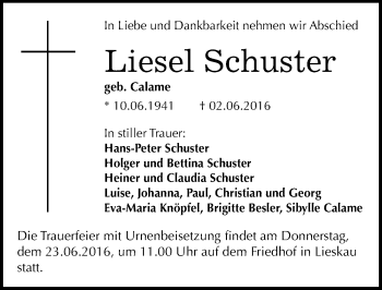 Traueranzeige von Liesel Schuster von Mitteldeutsche Zeitung Halle/Saalkreis