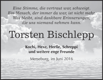 Traueranzeige von Torsten Bischlepp von WVG - Wochenspiegel Merseburg