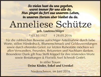 Traueranzeige von Anneliese Schütze von Mitteldeutsche Zeitung Merseburg/Querfurt