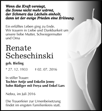 Traueranzeige von Renate Scheschinski von Mitteldeutsche Zeitung Naumburg/Nebra