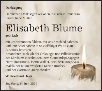 Traueranzeige von Kurt Schubert von Mitteldeutsche Zeitung Halle/Saalkreis