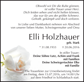 Traueranzeige von Elli Holzhauer von Mitteldeutsche Zeitung Merseburg/Querfurt
