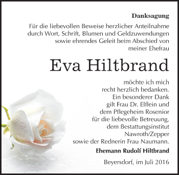 Traueranzeige von Eva Hiltbrand von Mitteldeutsche Zeitung Bitterfeld