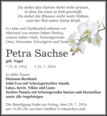 Traueranzeige von Petra Sachse von Mitteldeutsche Zeitung Merseburg/Querfurt