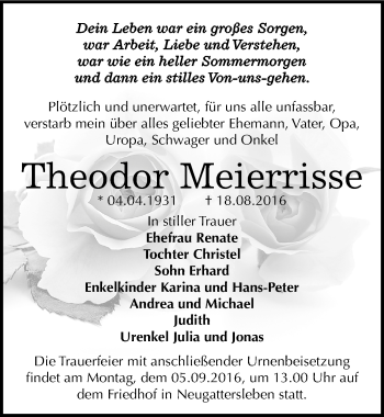 Traueranzeige von Theodor Meierrisse von Mitteldeutsche Zeitung Bernburg