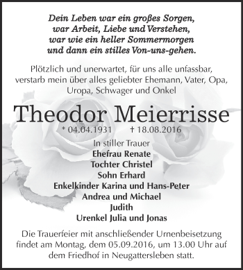 Traueranzeige von Theodor Meierrisse von Super Sonntag Bernburg
