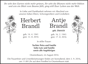 Traueranzeige von Herbert und Antje Brandl von WVG - Wochenspiegel Wittenberg