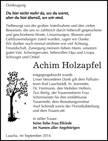 Traueranzeige von Achim Holzapfel von Mitteldeutsche Zeitung Naumburg/Nebra