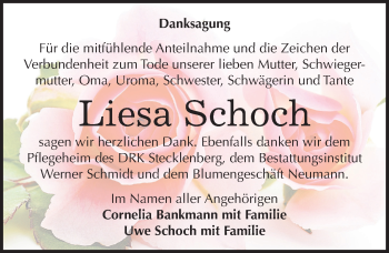 Traueranzeige von Liesa Schoch von Mitteldeutsche Zeitung Quedlinburg