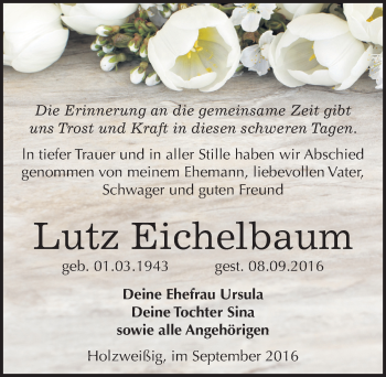 Traueranzeige von Lutz Eichelbaum von Mitteldeutsche Zeitung Bitterfeld