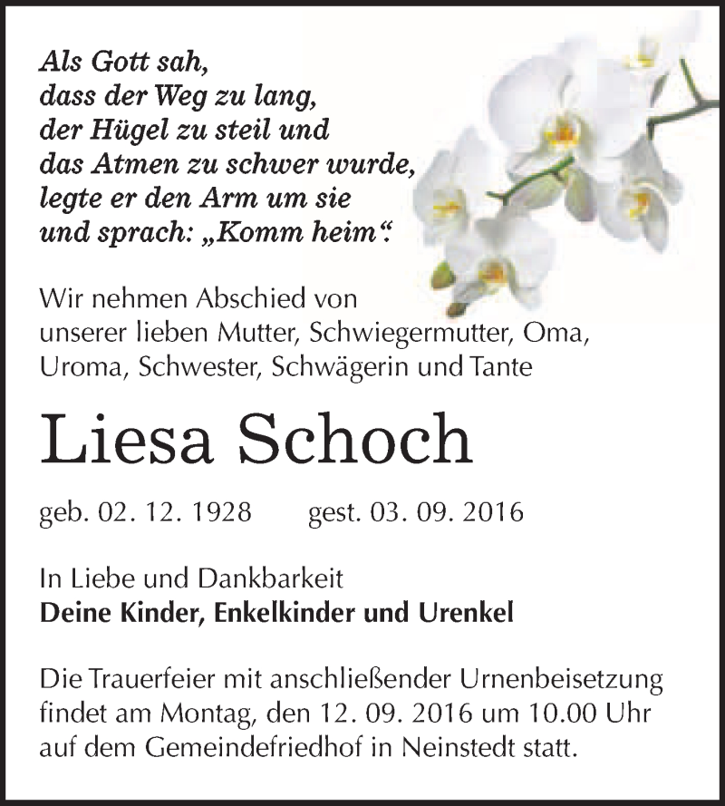  Traueranzeige für Liesa Schoch vom 10.09.2016 aus WVG - Wochenspiegel Quedlinburg