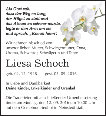 Traueranzeige von Liesa Schoch von Mitteldeutsche Zeitung Quedlinburg