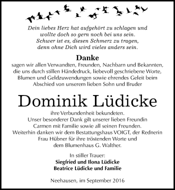 Traueranzeige von Dominik Lüdicke von Mitteldeutsche Zeitung Mansfelder Land