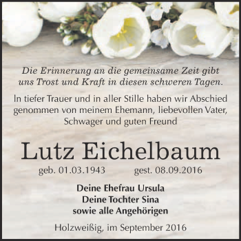 Traueranzeige von Lutz Eichelbaum von WVG - Wochenspiegel Bitterfeld