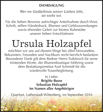 Traueranzeige von Ursula Holzapfel von Mitteldeutsche Zeitung Merseburg/Querfurt
