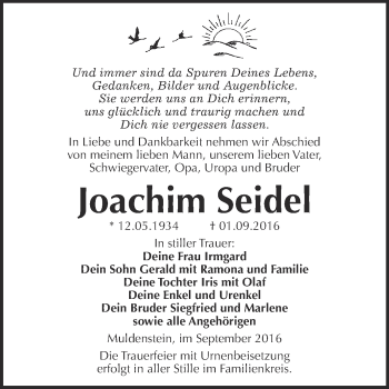 Traueranzeige von Joachim Seidel von WVG - Wochenspiegel Bitterfeld