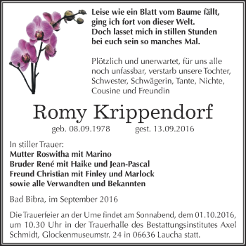 Traueranzeige von Romy Krippendorf von WVG - Wochenspiegel NMB / WSF / ZTZ