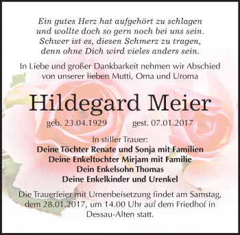 Traueranzeige von Hildegard Meier von Mitteldeutsche Zeitung Dessau-Roßlau