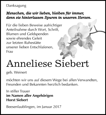 Traueranzeige von Anneliese Siebert von Mitteldeutsche Zeitung Bernburg