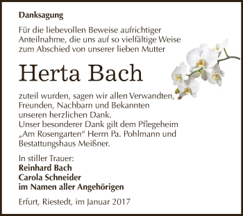 Traueranzeige von Herta Bach von Super Sonntag SGH Mansf. Land