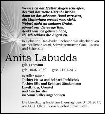 Traueranzeige von Anita Labudda von Mitteldeutsche Zeitung Wittenberg