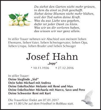 Traueranzeige von Josef Hahn von Mitteldeutsche Zeitung Bitterfeld