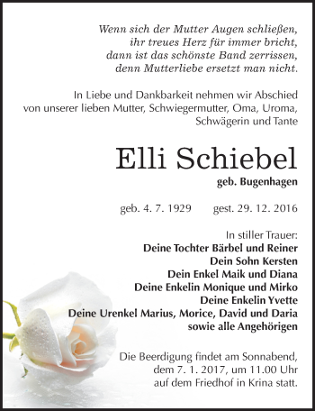 Traueranzeige von Elli Schiebel von Mitteldeutsche Zeitung Bitterfeld