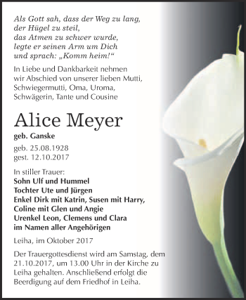 Traueranzeige von Alice Meyer von WVG - Wochenspiegel Merseburg