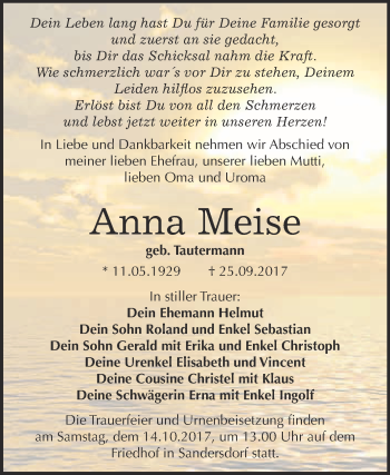 Traueranzeige von Anna Meise von WVG - Wochenspiegel Bitterfeld